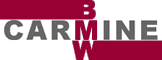 BMW CarMine Logo